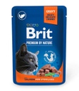 Brit Premium by Nature Gravy Chunks with Salmon for Sterilised 100g Cat Wet Food